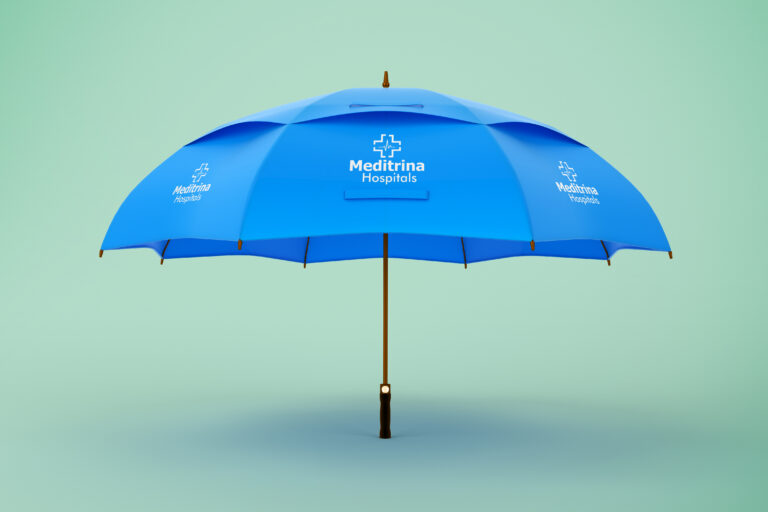 Designing Effective Catalogues and Infographics